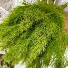 EMaMa様 リクエスト 3点 まとめ商品