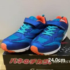 未使用　バネのチカラ　24.0EE