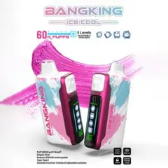 【最安値】BANGKING ICE COOL 60000パフ ニコ♫パフ
