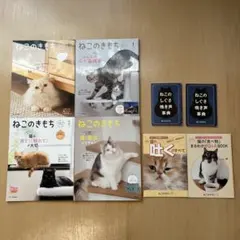 Item thumbnail for item 000e6428-0237-4ccc-98bc-64f11eb0305a