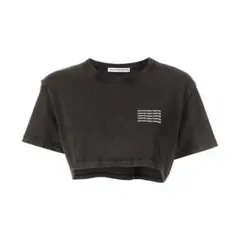 alexanderwang アシッドウォッシュミニTシャツ クロップドのサムネイル
