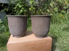 植木鉢 中古品2個セット 盆栽鉢　信楽焼？ 雪割草　山野草 アガベ 蘭 えびねのサムネイル