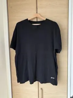 FRUIT OF THE LOOM NUMBER (N)INE TシャツLサイズ