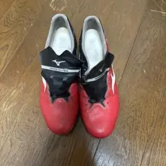 Item thumbnail for item d199c02f-7c06-464a-bf0a-4eabc8dfbf02