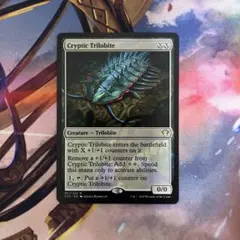 Shippujin様 リクエスト 2点 まとめ商品