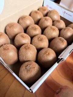 【キウイフルーツ】　大好評につき訳あり残り5つ！値下げしました