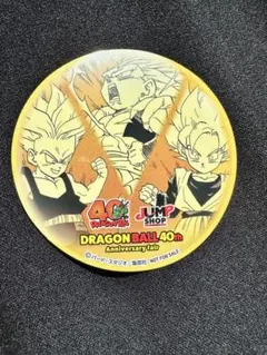 美品　ジャンプ　ショップ　365日　ステッカー　セット　DRAGON BALL 3/24(金)の365日ステッカーのキャラクターは、『DRAGON BALL』フリーザ