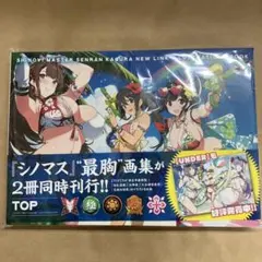 シノビマスター 閃乱カグラ 閃乱カグラTEN ビジュアルコレクション 新品 シノビマスター 閃乱カグラ 閃乱カグラTEN ビジュアルコレクション