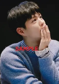 パクボゴム／70／A4サイズ写真／在庫無くなり次第終了／パク・ボゴムkrair