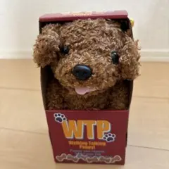 ウォーキングトーキング　トイプードル　新品