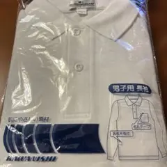 Item thumbnail for item 08261ff3-7e82-4caa-93a1-be811313d12f