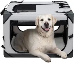 Item thumbnail for item 37fc9274-044f-43bd-8467-3a26212bc6f6