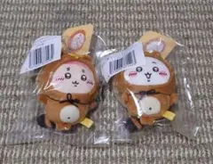 ちいかわ たぬきだもんくじ ちいかわ 古本屋