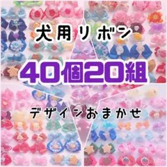 わんちゃん用リボンヘアゴム☆40個20組 トリミングリボン　10018