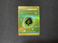 2025年最新】草エネルギー urの人気アイテム - メルカリ