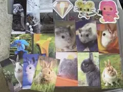 シール詰め合わせ