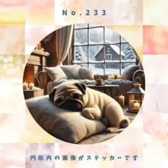 PagPag様 リクエスト 3点 まとめ商品