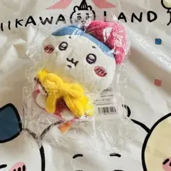 Hiroyuki様 リクエスト 2点 まとめ商品