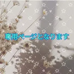 ひらり様 リクエスト 2点 まとめ商品