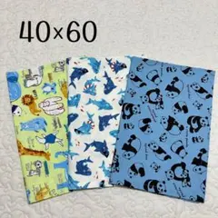 ランチョンマット 40×60 3枚セット　動物園　サメ　パンダ　給食用