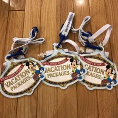 ディズニーバケーションパッケージ チケットホルダー 3個セット