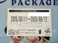 【即日匿名発送】ディズニー バケパ フリードリンク券 9/11〜12