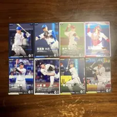 Item thumbnail for item fc9af523-b993-452a-a85f-62cc348fc9f5