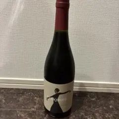 VINIQROBE Merlot 2023 日本ワイン - メルカリ