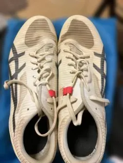 Item thumbnail for item a7083983-1210-4dc4-98be-46929460e456