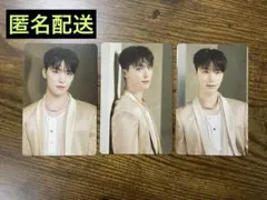 SEVENTEEN RIGHT HERE 韓国 トレカ ディノ 3点セット