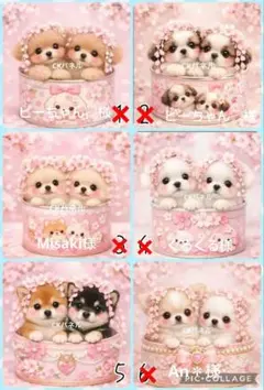 【専用】フラワーラビッツデキャンタ2体テディデキャンタ4体ドルフィンデキャンタ〜 専用】フラワーラビッツデキャンタ2体テディデキャンタ4体ドルフィン