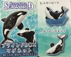 2026年最新】鴨川シーワールドマグネットの人気アイテム - メルカリ