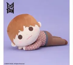 【新品・未使用】Tinytan メガジャンボぬいぐるみ