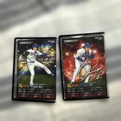 プロ野球チップス横浜DeNA入江大生投手キラ中日ドラゴンズ齋藤綱記投手ノーマル