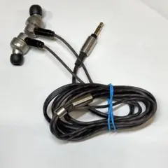JVC Victor HA-FX1100 ウッドイヤホン 有線【動作確認済】 - メルカリ