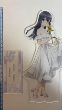 masaki@プロフ必読様 リクエスト 2点 まとめ商品