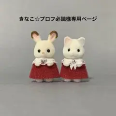 きなこ☆プロフ必読様専用ページ