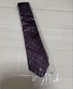 Journal Works ウォッシャブル　ネクタイ ドット柄 パープル