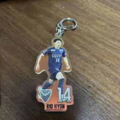 徳島ヴォルティス オーロラ