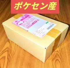 【新品未開封シュリンク付】スペシャルBOXポケモンセンタートウホク