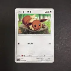 イーブイ『SM6 禁断の光』　楠部文さん（Aya Kusube）かじる