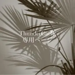 【ThunderCat様専用ページ】チェーン×パールネックレス