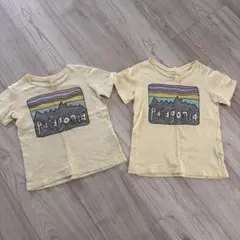 パタゴニアTシャツ　２枚セット