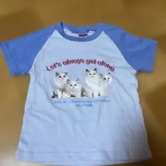 ANAP GIRL 猫プリント Tシャツ Mサイズ