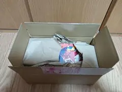 ポケモンカードゲーム ヒロシマスペシャルBOX