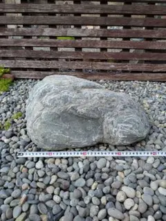 三波石 19.2kg 川ずれ 群馬県産 日本銘石青石緑泥片岩水石庭石鑑賞石
