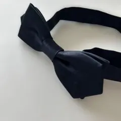 Item thumbnail for item 7d61c653-8ef4-402c-b29b-4c089ee0dbe9