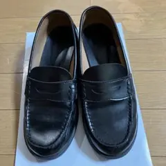 Item thumbnail for item ed37eb0a-093a-4de9-a218-6d1dee1f3144