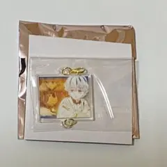 【まとめ割あり】鬼滅の刃 隊士百景 絆アクリルチャーム 我妻善逸　チュン太郎