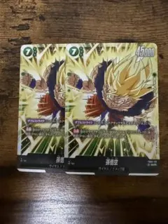 孫悟空 scr FB05-119 未知なる冒険 2枚セット